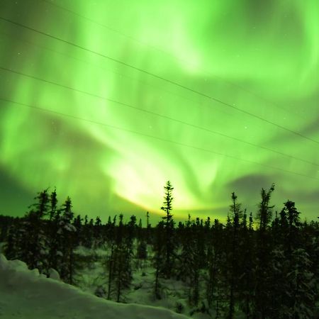 Aurora Deluxe Guest House Yellowknife Dış mekan fotoğraf