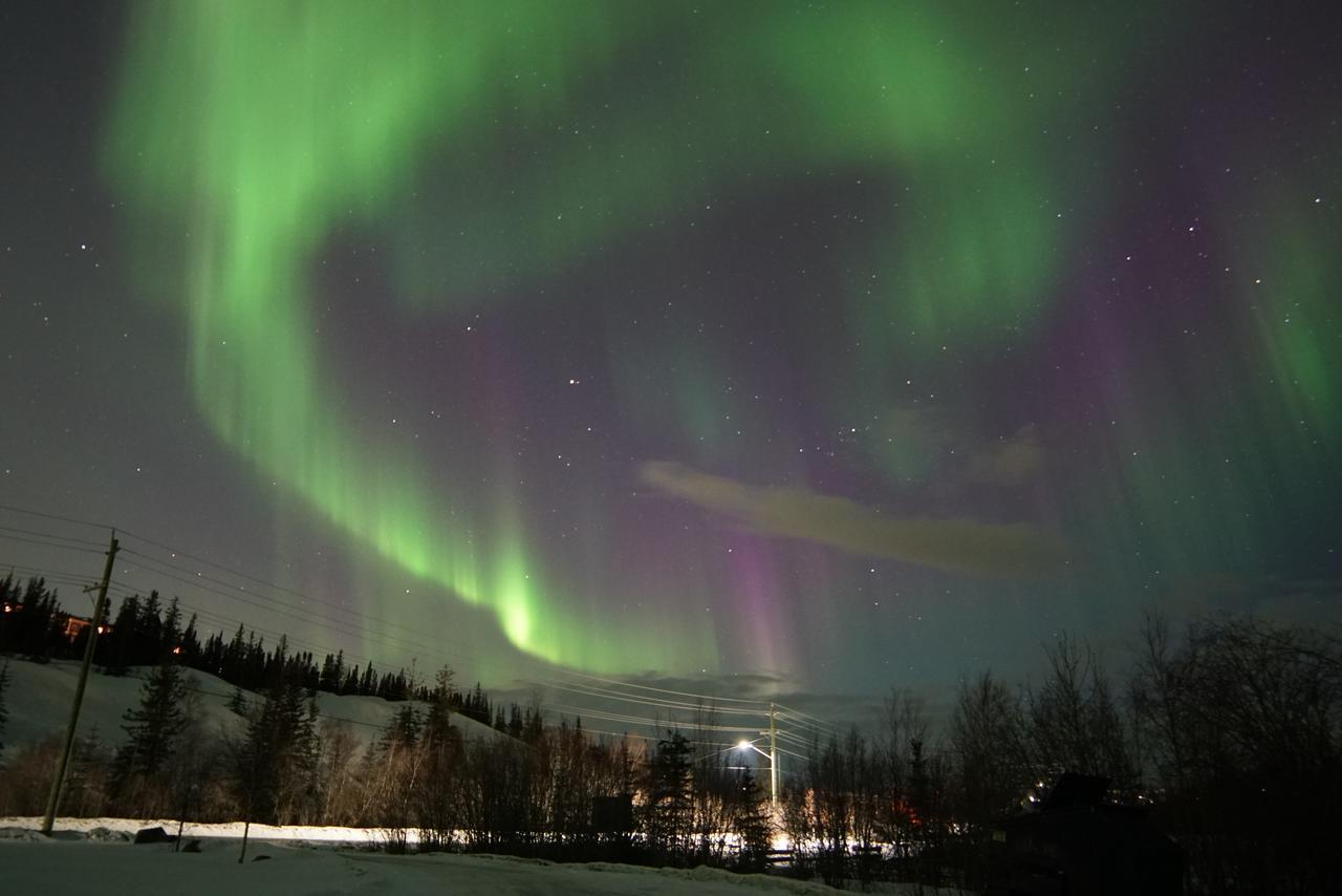 Aurora Deluxe Guest House Yellowknife Dış mekan fotoğraf