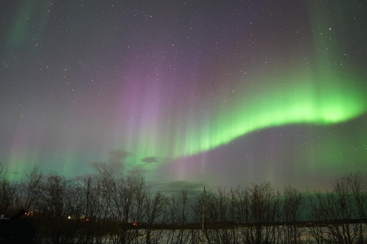 Aurora Deluxe Guest House Yellowknife Dış mekan fotoğraf