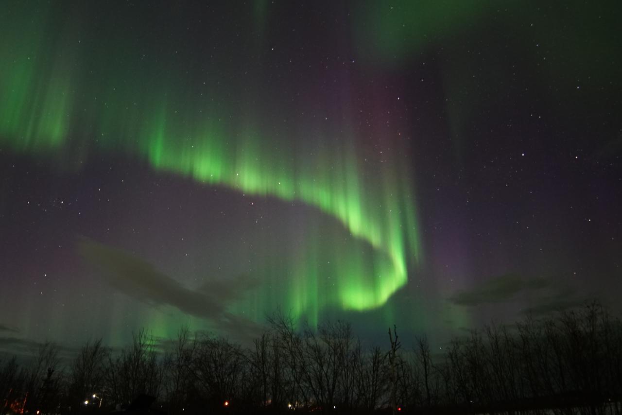 Aurora Deluxe Guest House Yellowknife Dış mekan fotoğraf