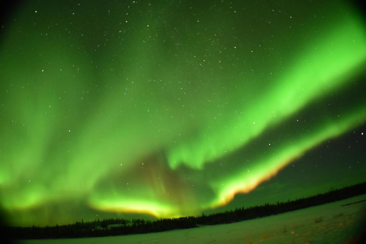 Aurora Deluxe Guest House Yellowknife Dış mekan fotoğraf