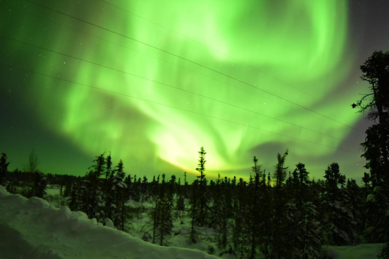 Aurora Deluxe Guest House Yellowknife Dış mekan fotoğraf